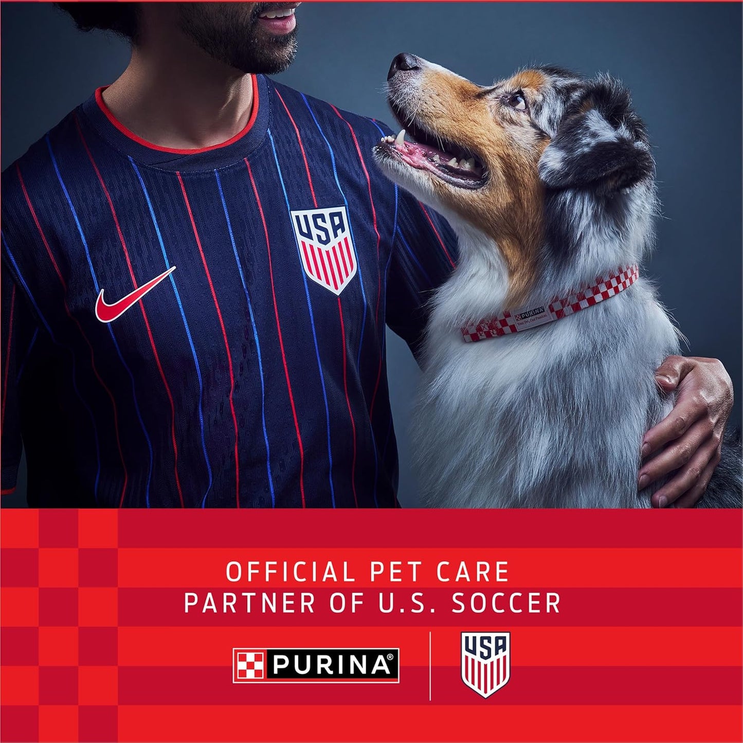 Purina Pro Plan FortiFlora Probiotic Powder for Dogs – Daily Digestive & Immune Support